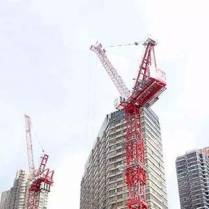 Ӣ���mMantis Cranes�Ƶ���ò�̹���ؙC���I